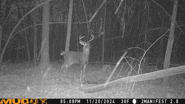 $359,000 | W9162 570th Avenue, Ellsworth, WI 54011