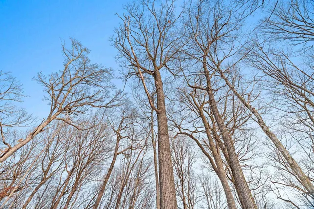 $359,000 | W9162 570th Avenue, Ellsworth, WI 54011