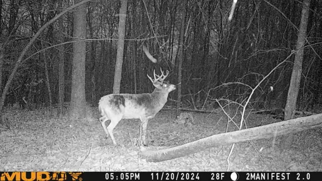 $359,000 | W9162 570th Avenue, Ellsworth, WI 54011