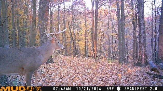 $359,000 | W9162 570th Avenue, Ellsworth, WI 54011