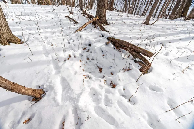 $359,000 | W9162 570th Avenue, Ellsworth, WI 54011