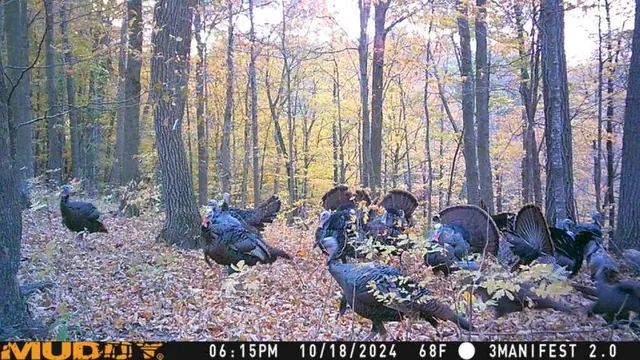 $359,000 | W9162 570th Avenue, Ellsworth, WI 54011