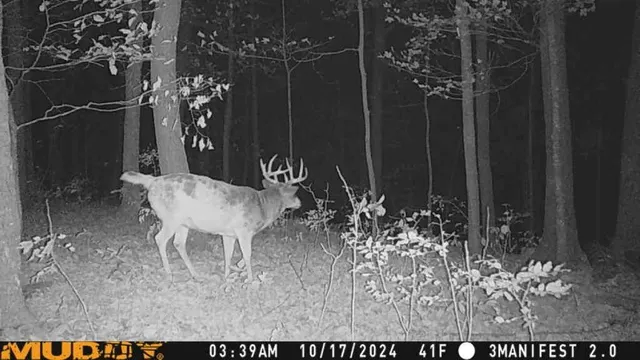 $359,000 | W9162 570th Avenue, Ellsworth, WI 54011