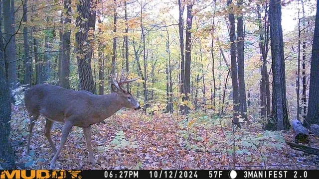 $359,000 | W9162 570th Avenue, Ellsworth, WI 54011