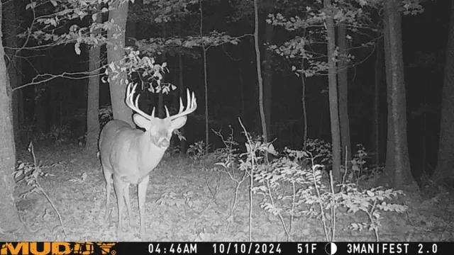 $359,000 | W9162 570th Avenue, Ellsworth, WI 54011