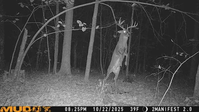 $359,000 | W9162 570th Avenue, Ellsworth, WI 54011