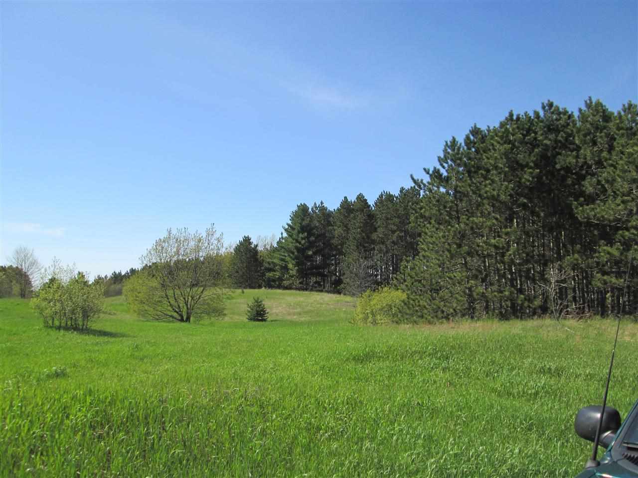 1300 Tyler Road Southeast Kalkaska, MI 49646 - Photo 24 of 63 1785022-23.JPG