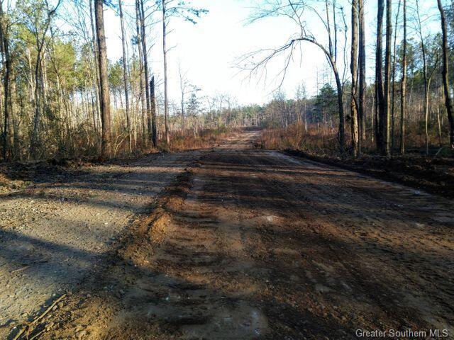 Parish Line Road Deridder, LA 70634 - Photo 1 of 12 Gallery Image 1