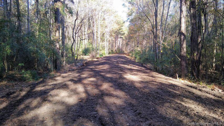 Parish Line Road Deridder, LA 70634 - Photo 2 of 12 Gallery Image 2