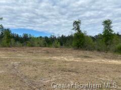 Parish Line Road Deridder, LA 70634 - Photo 5 of 12 Gallery Image 5