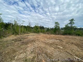 Parish Line Road Deridder, LA 70634 - Photo 6 of 12 Gallery Image 6