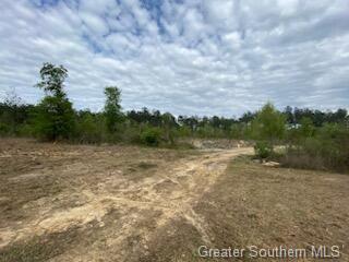 Parish Line Road Deridder, LA 70634 - Photo 7 of 12 Gallery Image 7