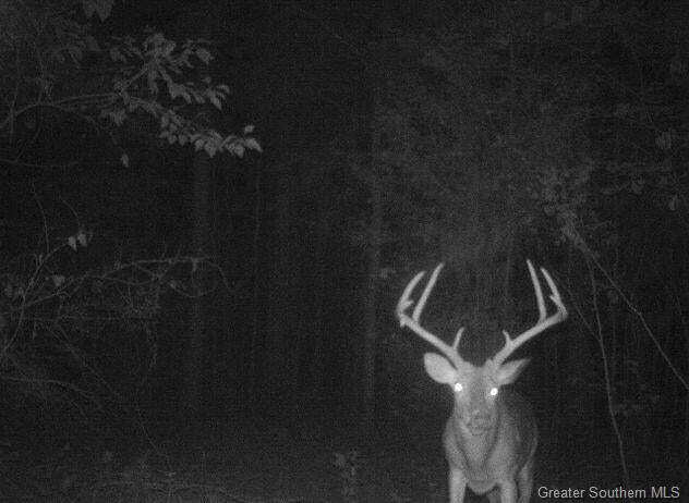 Parish Line Road Deridder, LA 70634 - Photo 8 of 12 Gallery Image 8