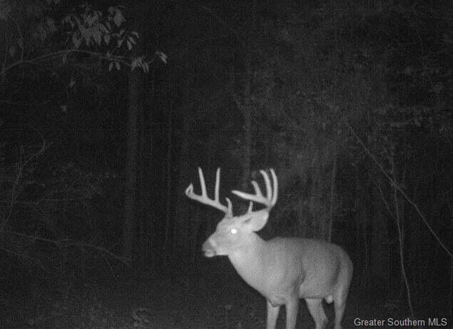 Parish Line Road Deridder, LA 70634 - Photo 9 of 12 Gallery Image 9