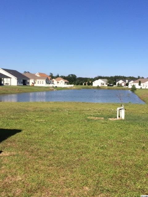 289 White Water Loop Conway, SC 29526 - Photo 21 of 21 Gallery Image 21