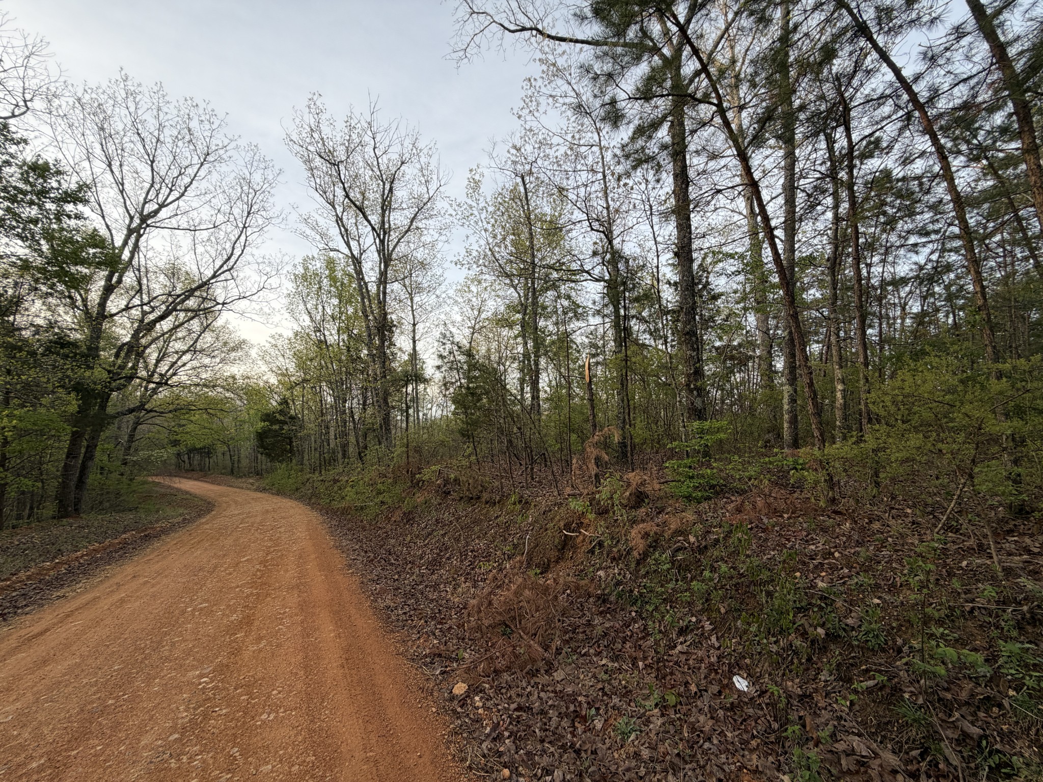 0 Salem Road Centerville, TN 37033 - Photo 3 of 7 Gallery Image 3