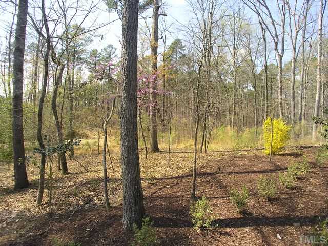 421 Rensford Place Cary, NC 27513 - Photo 20 of 25 a view of a yard with trees