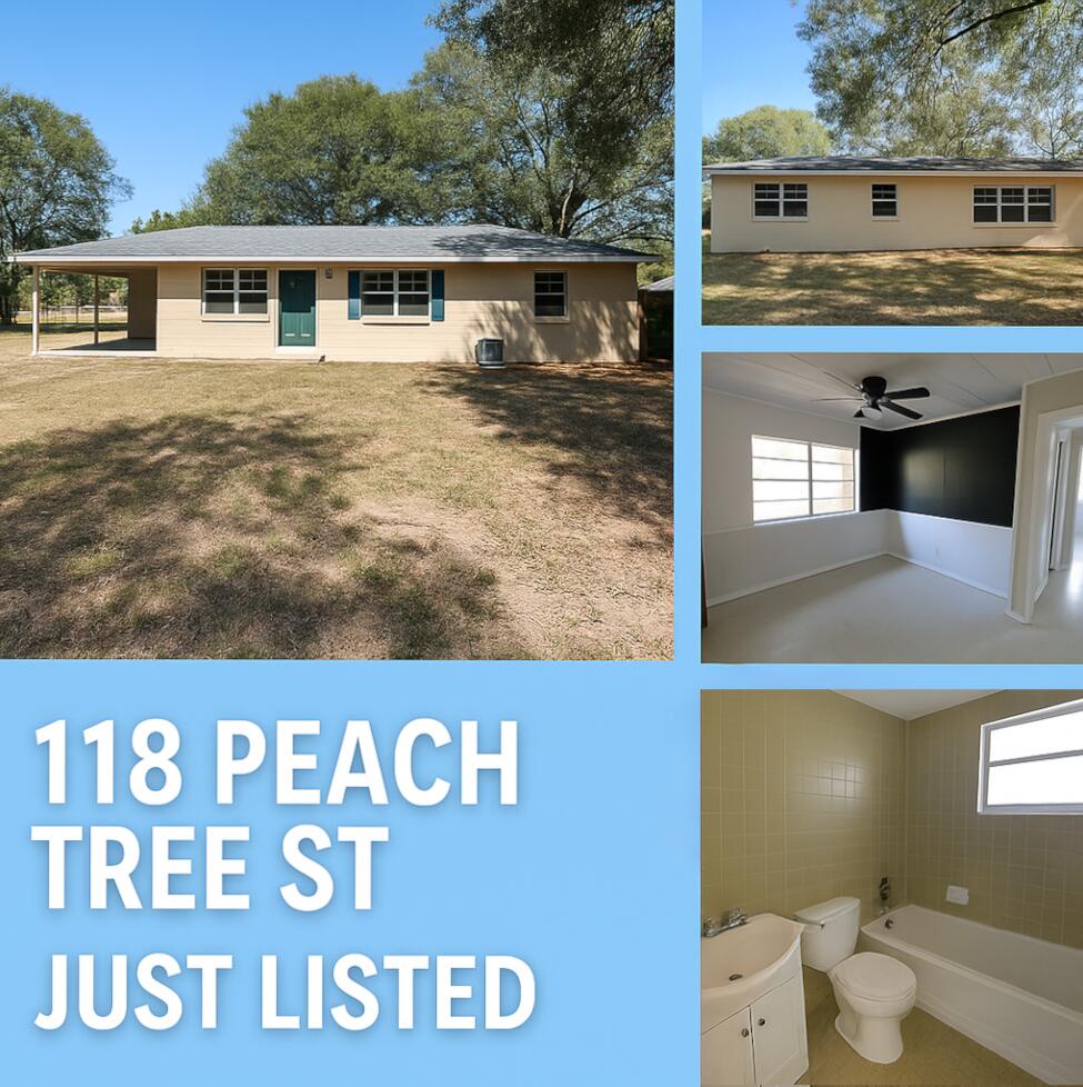 118 Peach Tree Street Paxton, FL 32567 - Photo 34 of 34 a view of front of house