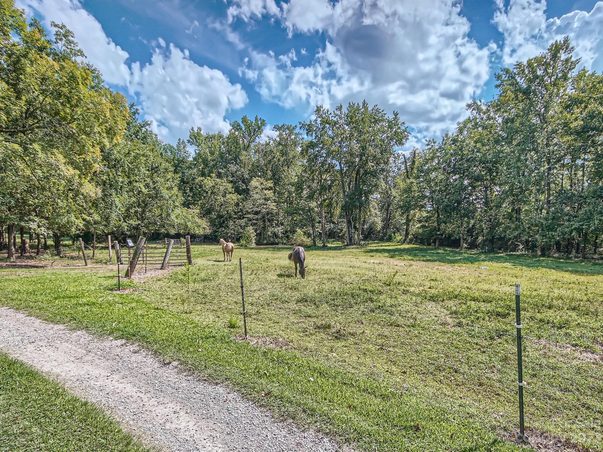 1815 Rock Rest Road Wingate, NC 28174 - Photo 26 of 27 a view of a field with trees