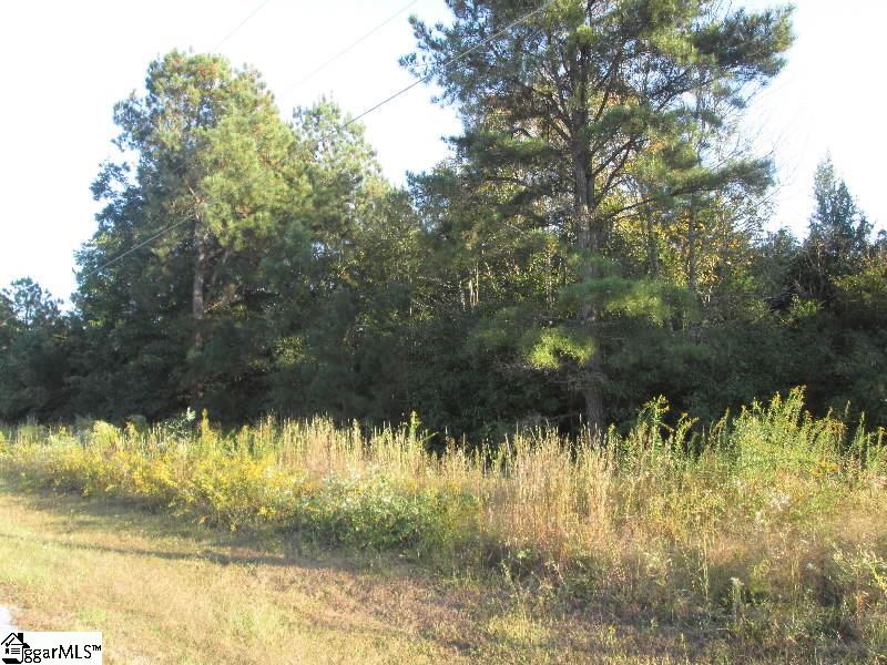 3 Rolling Meadows Road Gray Court, SC 29645 - Photo 1 of 4