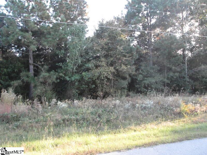 3 Rolling Meadows Road Gray Court, SC 29645 - Photo 3 of 4