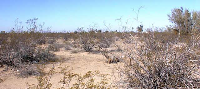 0 North Diffin Road, Unit X Florence, AZ 85132 - Photo 1 of 1 Primary Photo