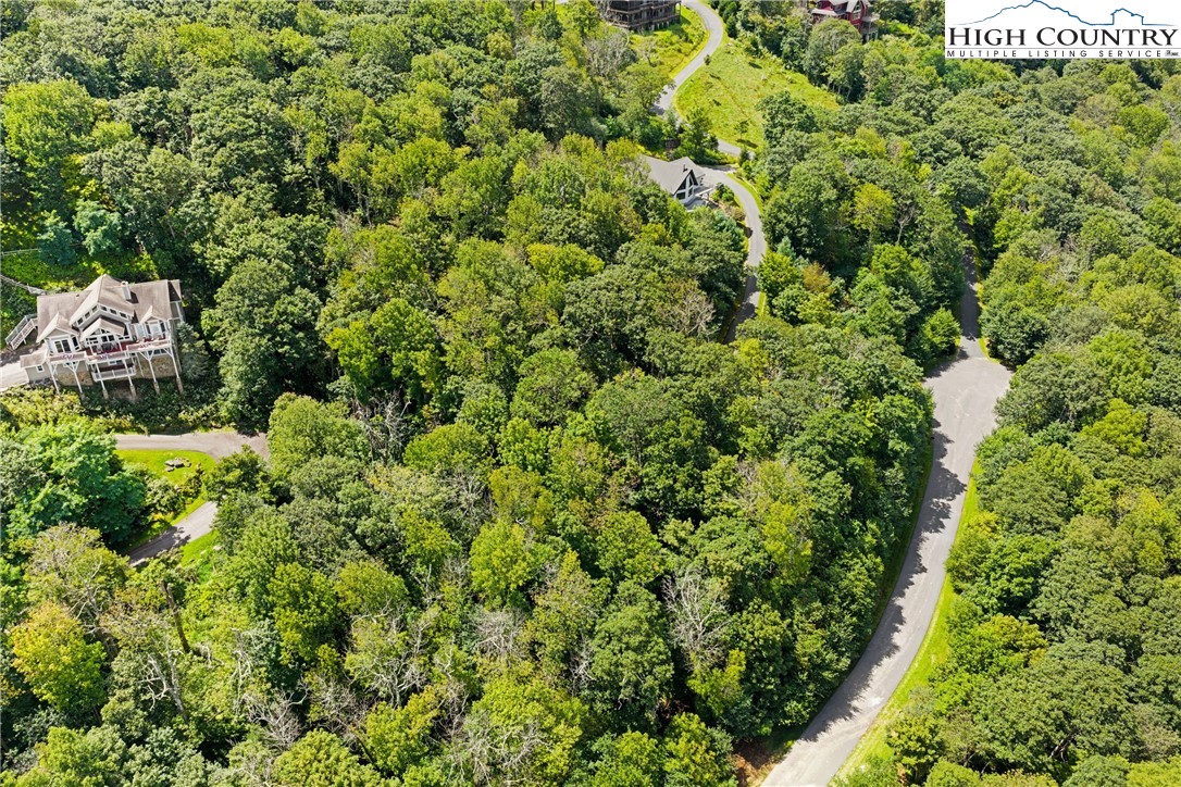 Lot 15 Boone Ridge Lane Boone, NC 28607 - Photo 15 of 16 a view of a garden with a building
