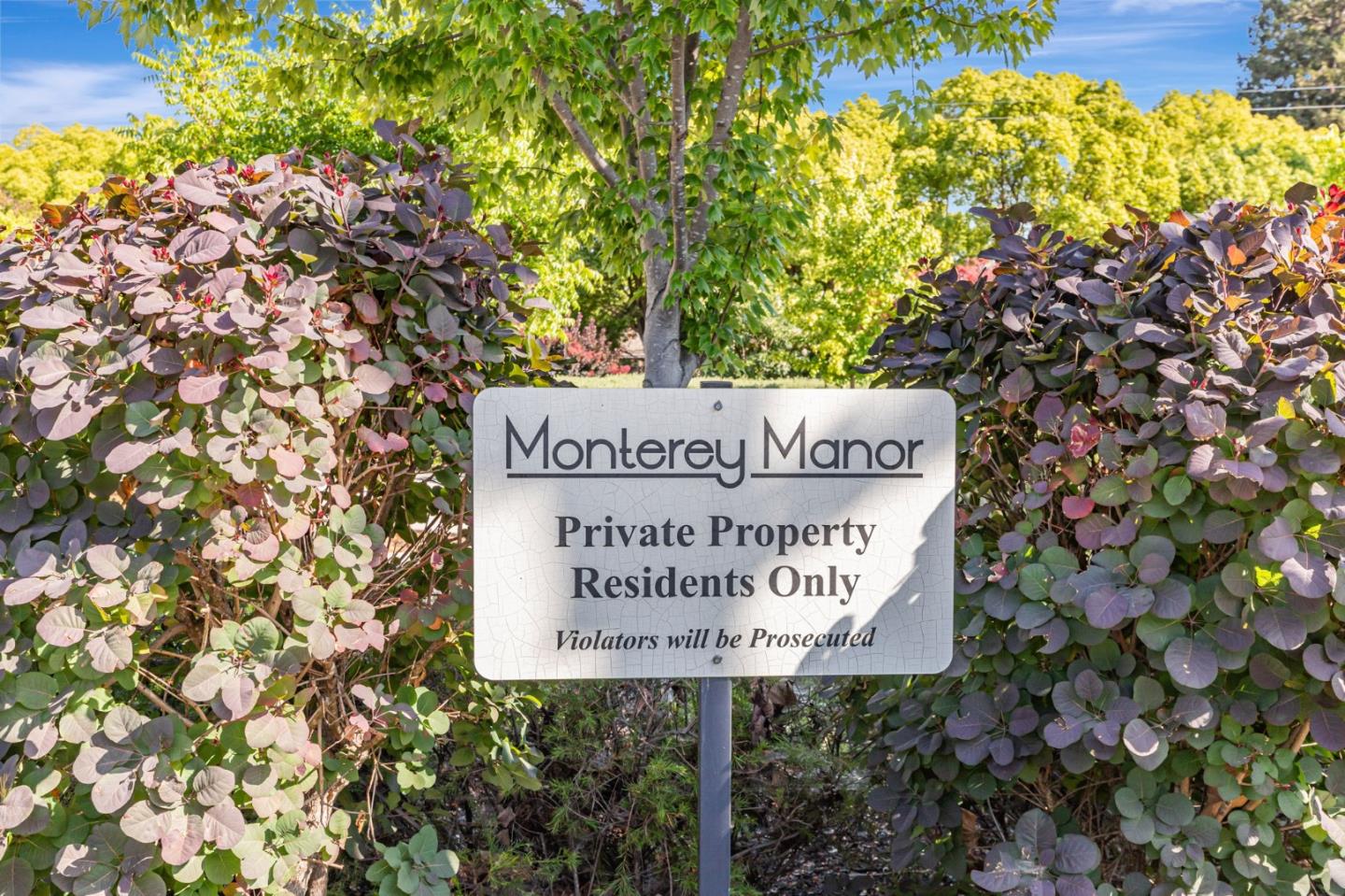 51 Koror Lane Gilroy, CA 95020 - Photo 43 of 50 a sign on the tree