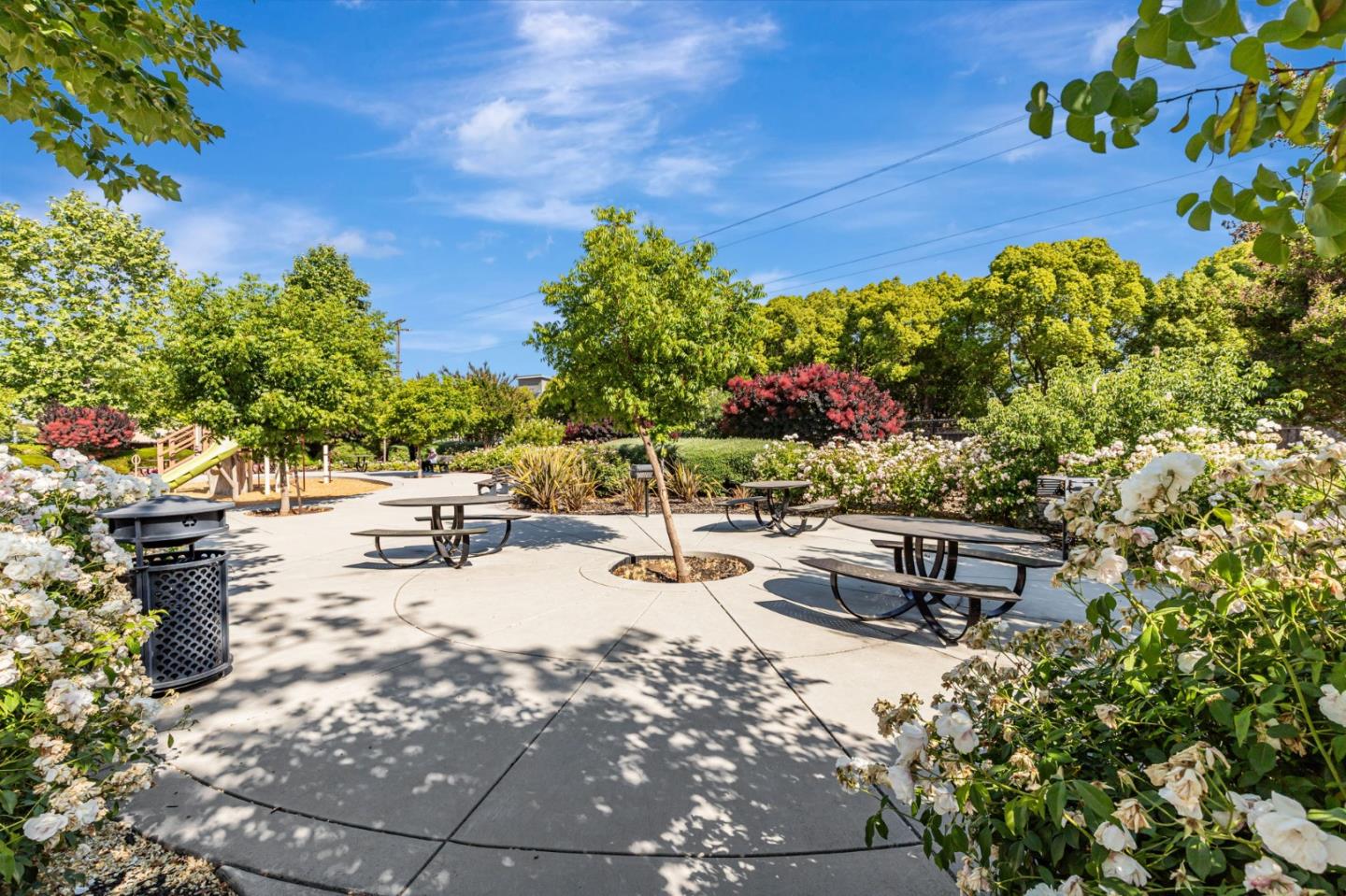51 Koror Lane Gilroy, CA 95020 - Photo 44 of 50 a view of a backyard with sitting area