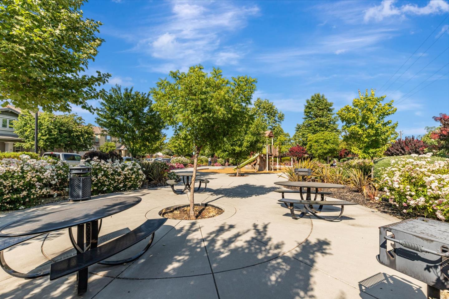 51 Koror Lane Gilroy, CA 95020 - Photo 45 of 50 a view of swimming pool with outdoor seating and trees