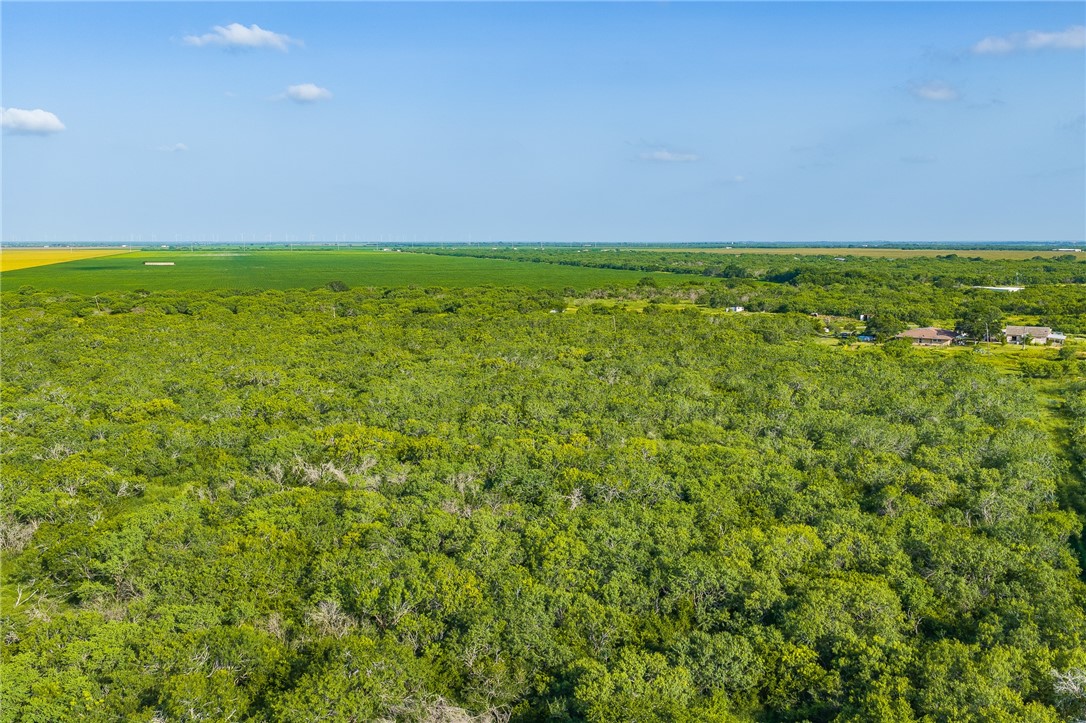 8259 Baldwin Avenue Mathis, TX 78368 - Photo 15 of 40
