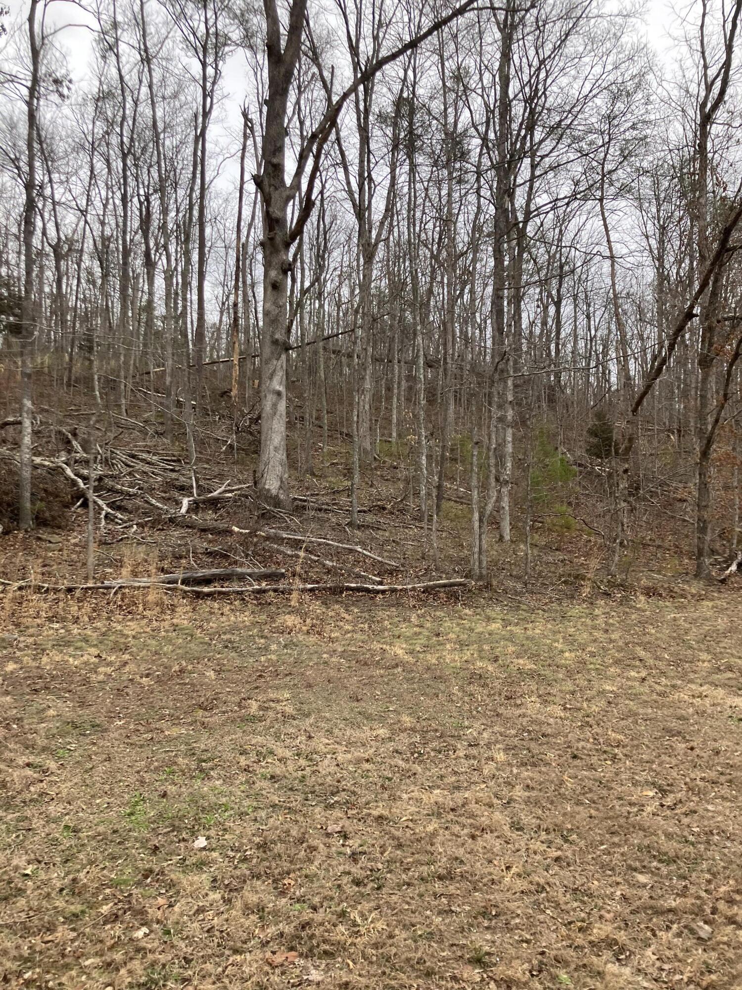 700 Butler Road Owingsville, KY 40360 - Photo 9 of 18 4D2674B2-87FF-43FC-802B-7A445987C847