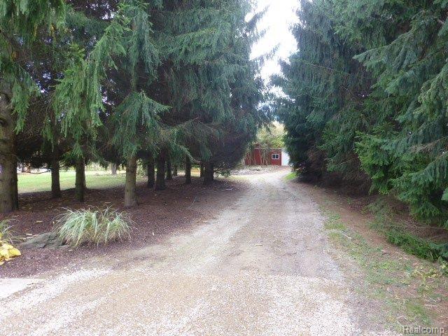 8300 30 Mile Road Washington, MI 48095 - Photo 41 of 44 driveway to pole barn.JPG