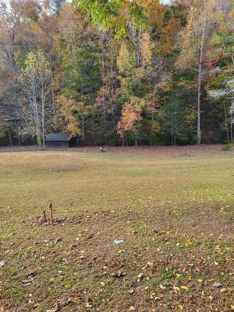 125 Honey Lane Del Rio, TN 37727 - Photo 8 of 31