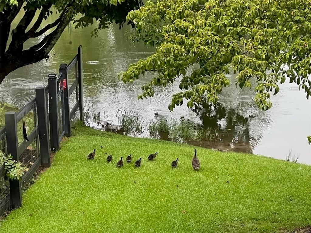 2308 Rackley Road Ellijay, GA 30536 - Photo 11 of 16