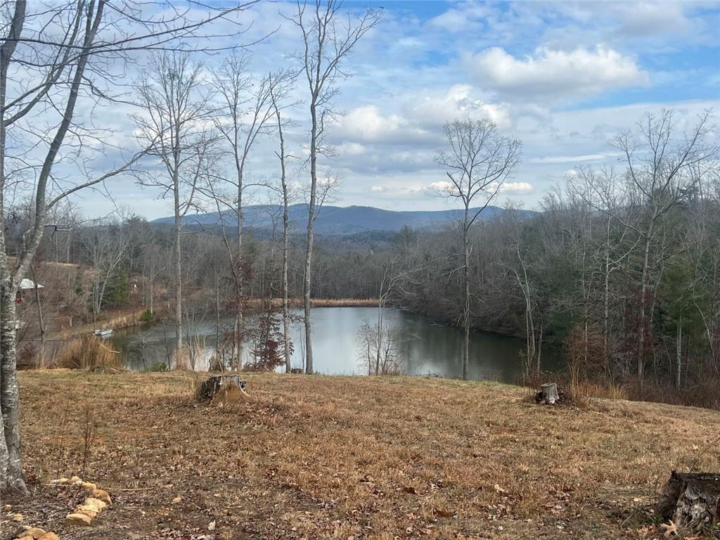 2308 Rackley Road Ellijay, GA 30536 - Photo 13 of 16