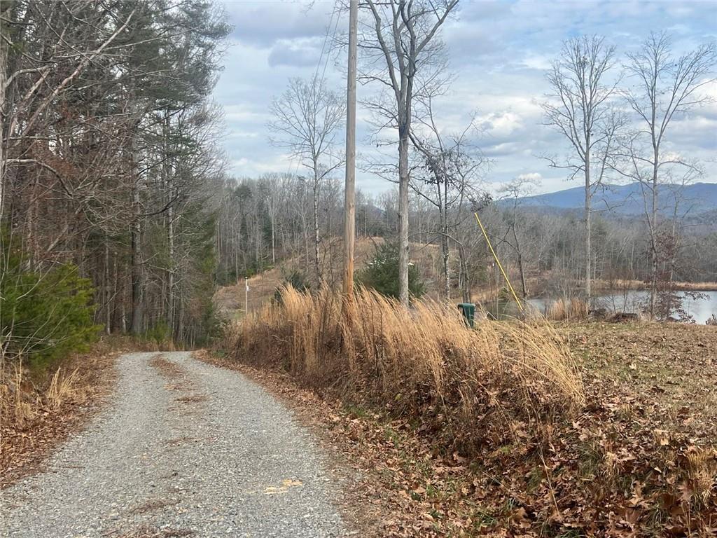 2308 Rackley Road Ellijay, GA 30536 - Photo 14 of 16