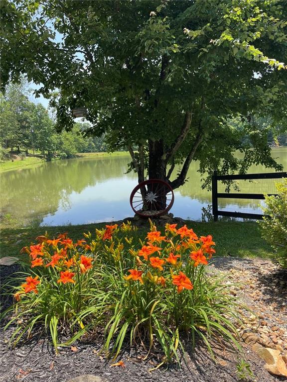 2308 Rackley Road Ellijay, GA 30536 - Photo 6 of 16