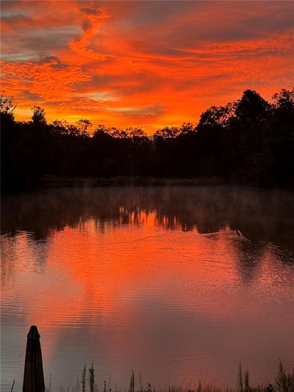 2308 Rackley Road Ellijay, GA 30536 - Photo 8 of 16