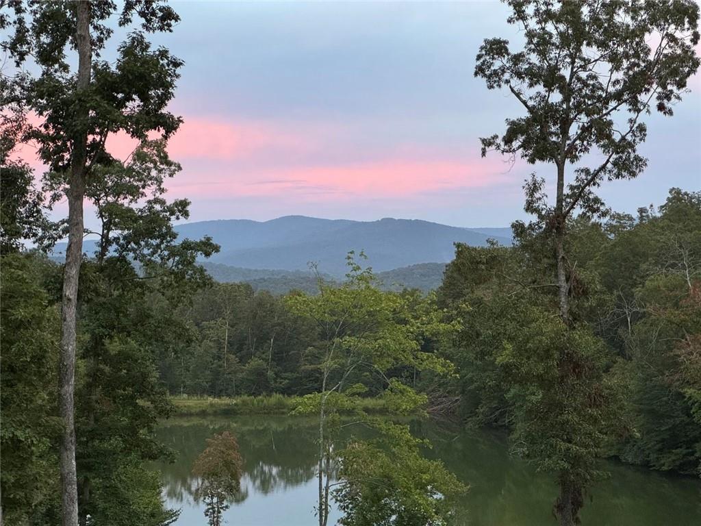 2308 Rackley Road Ellijay, GA 30536 - Photo 9 of 16