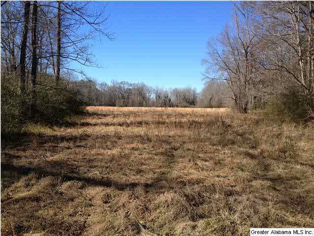 174 Highway Ac Al, Unit 75 Springville, AL 35146 - Photo 3 of 7