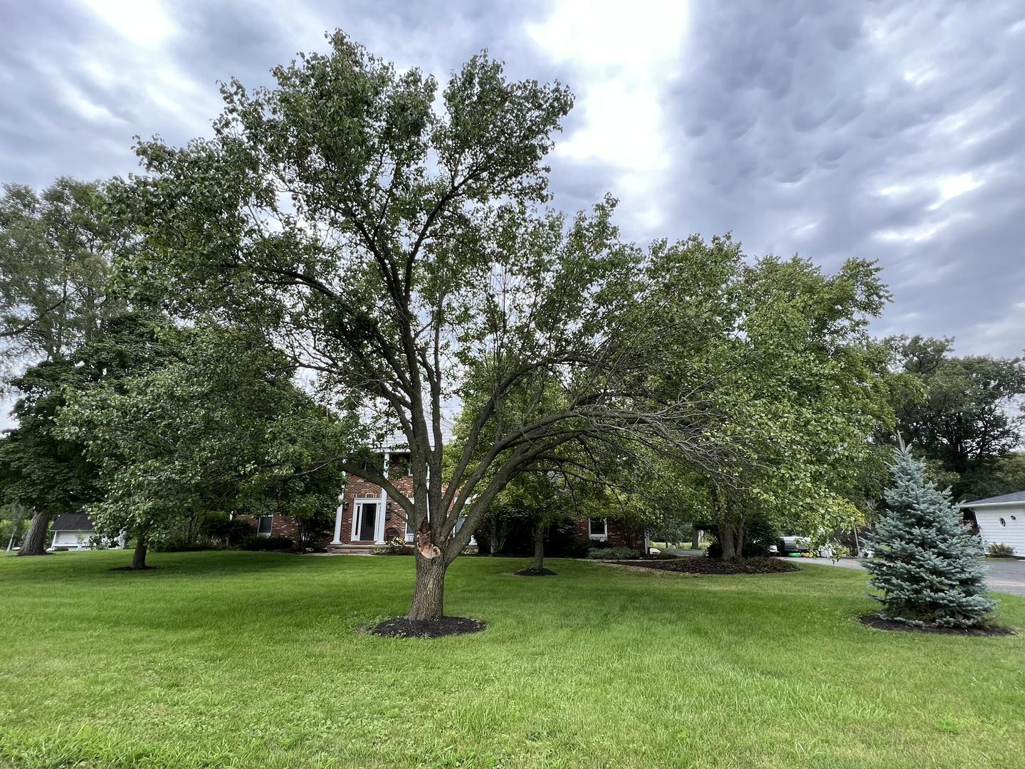 2635 Bell Road Minooka, IL 60447 - Photo 3 of 66