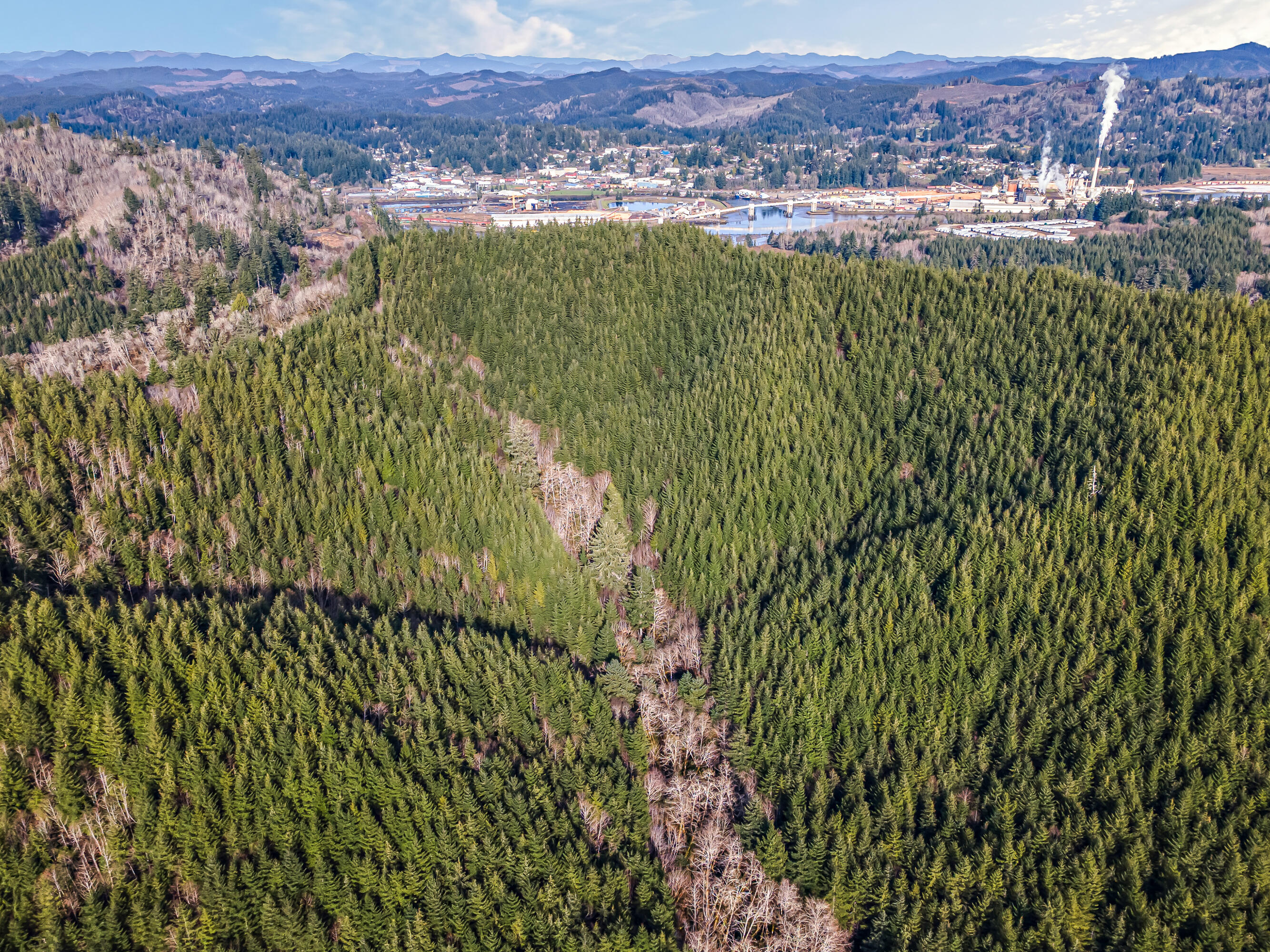 0 Criteser Loop Toledo, OR 97391 - Photo 10 of 31 DJI_0634