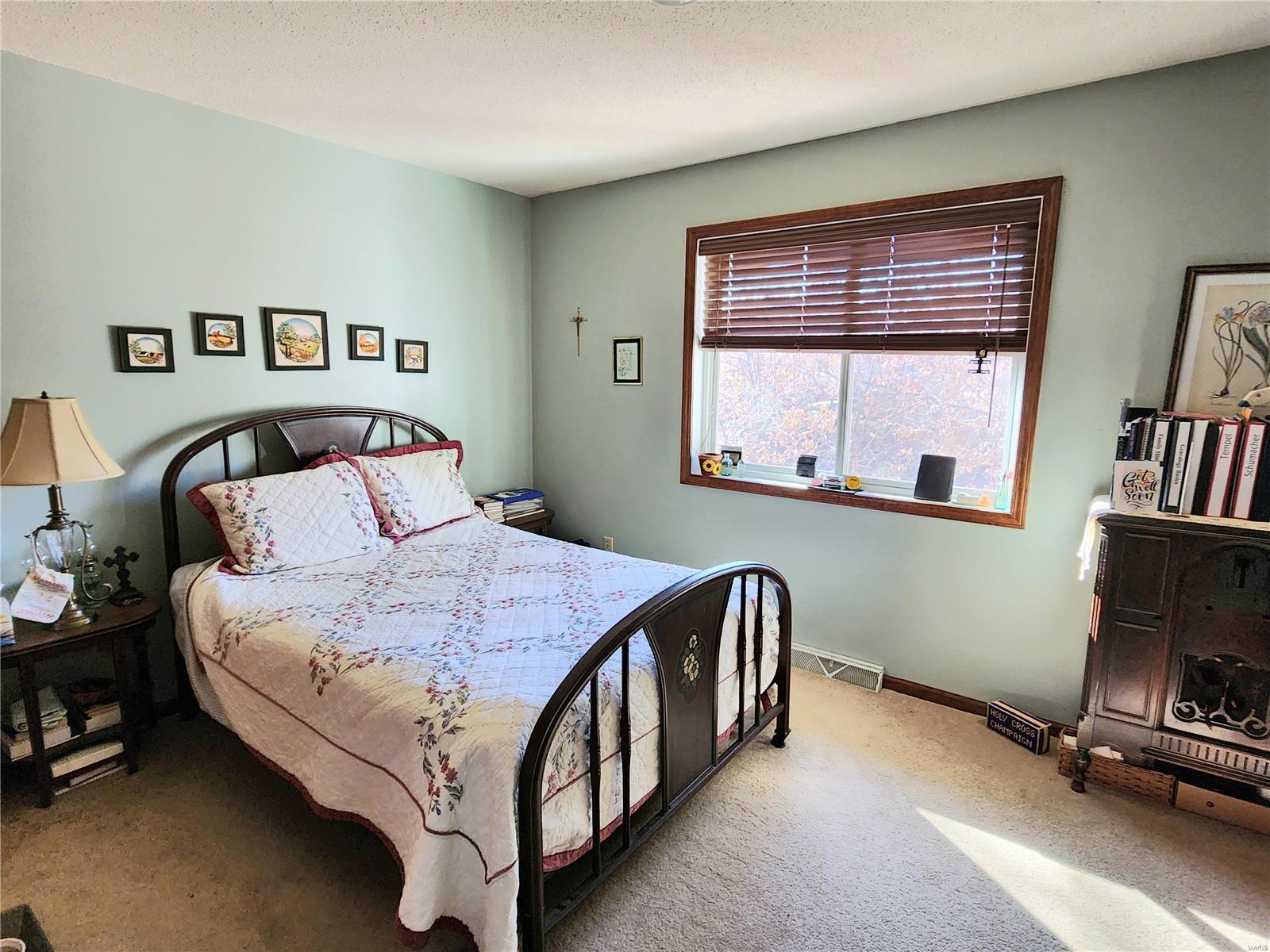 206 Lands End Road Hillsboro, IL 62049 - Photo 24 of 38