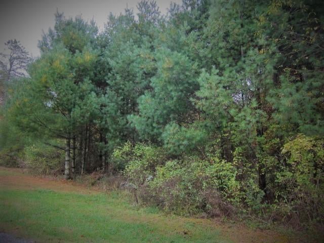 88 Whipperwill Hill Road Gap Mills, WV 24941 - Photo 47 of 68 Gallery Image 47