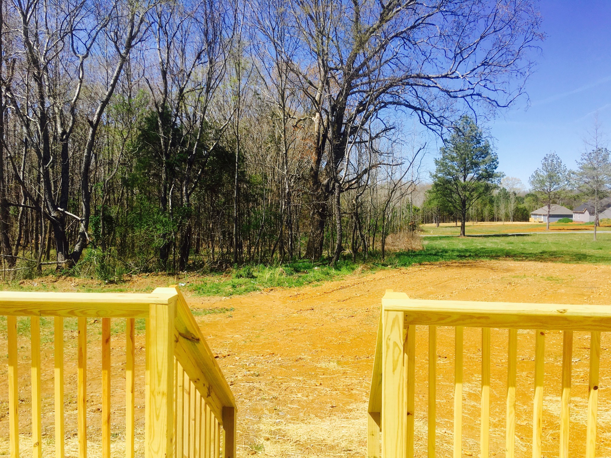 160 Limestone Road Elora, TN 37328 - Photo 18 of 18 a view of swimming pool with yard and trees