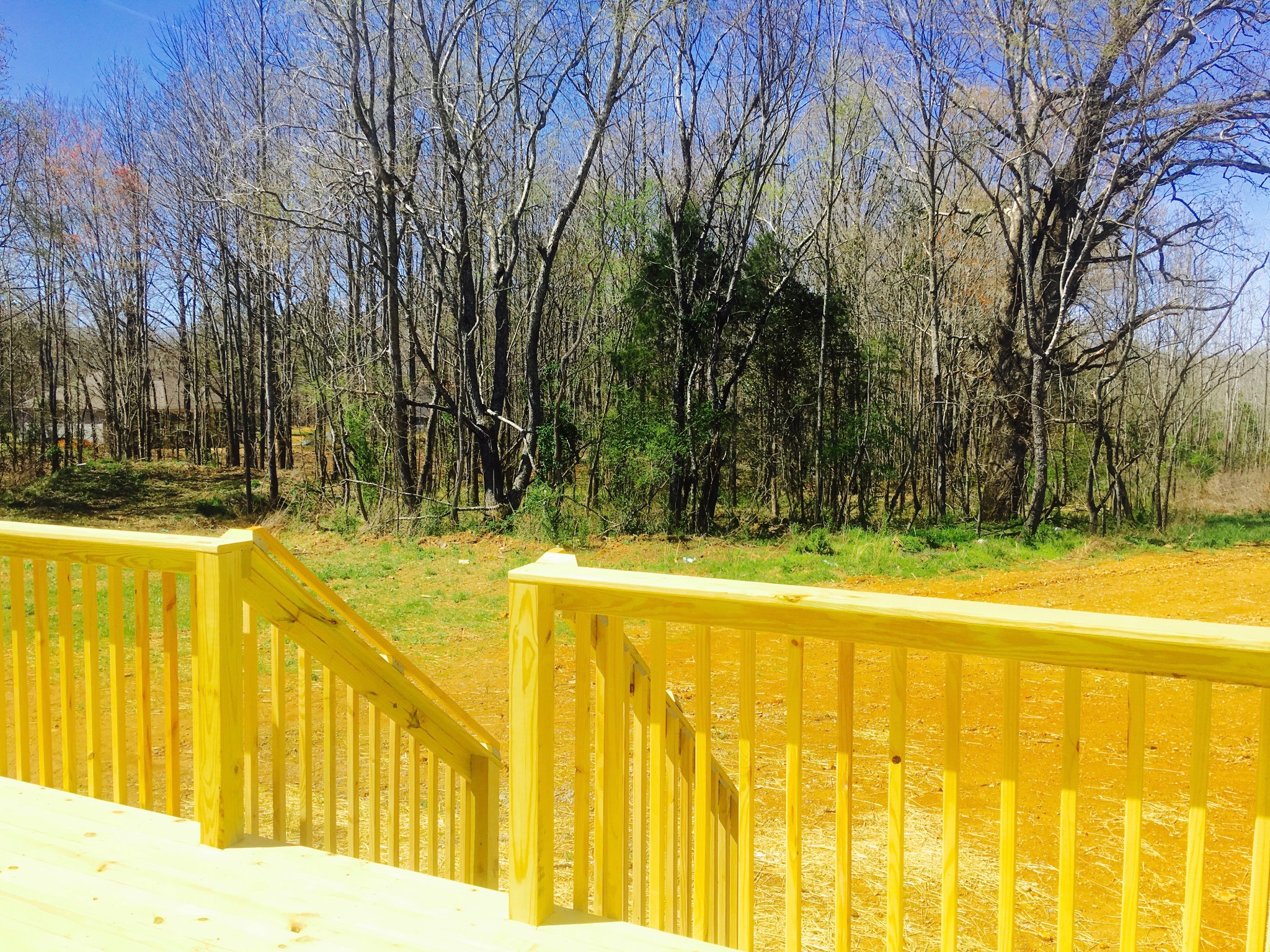 160 Limestone Road Elora, TN 37328 - Photo 3 of 18 a view of swimming pool with large trees