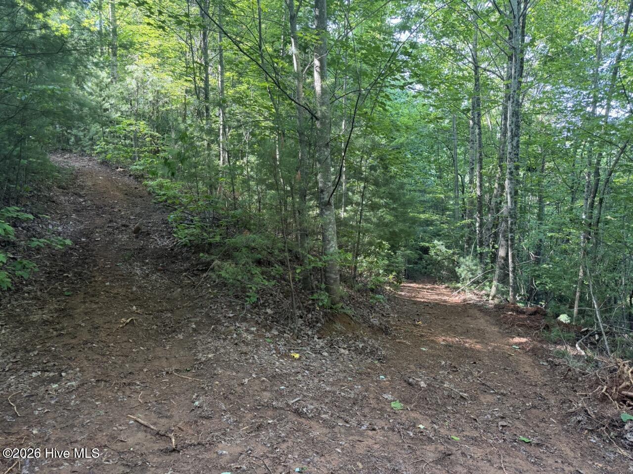 0 Ogreeta Road Murphy, NC 28906 - Photo 38 of 47