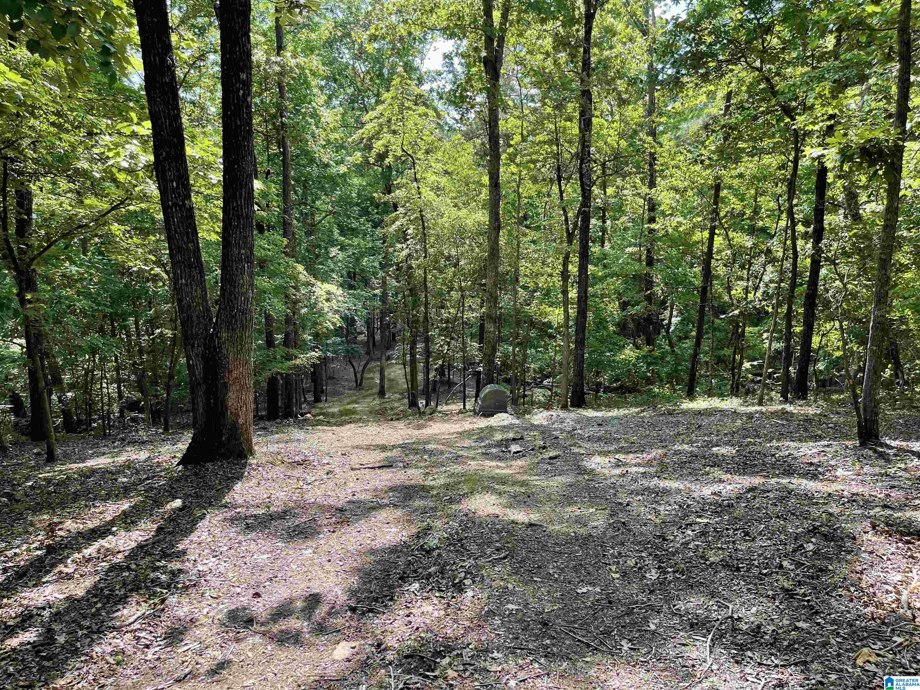 84 Rustic Drive, Unit 2 Harpersville, AL 35078 - Photo 8 of 23