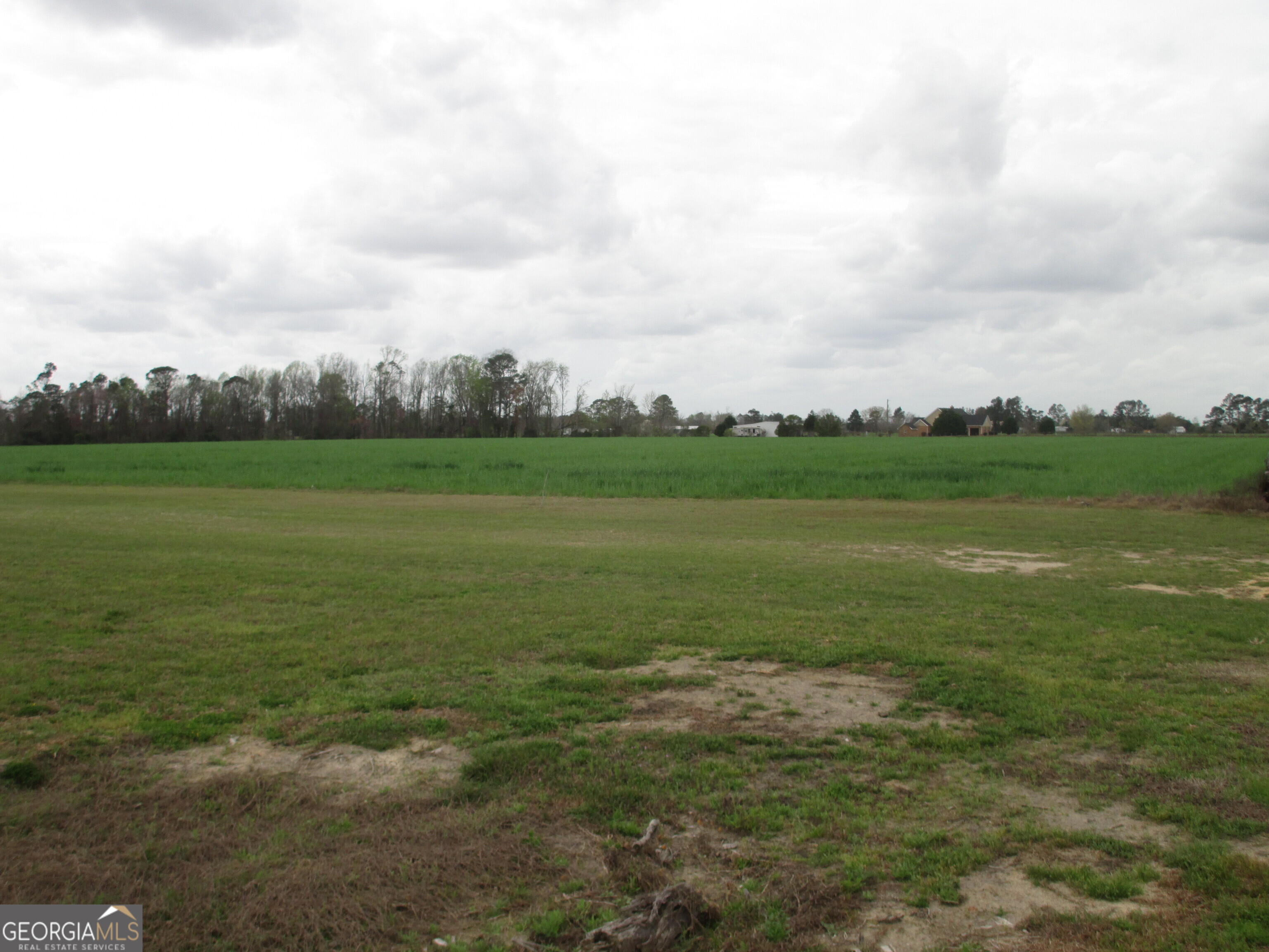 84 Comer Yawn Road Hazlehurst, GA 31539 - Photo 9 of 24 a view of field with grass and trees